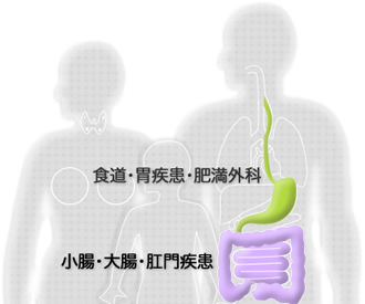 消化管外科：胃・食道外科（食道・胃疾患・肥満外科）大腸・肛門外科（小腸・大腸・肛門疾患）